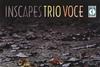 Trio-Voce