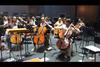 Gautier Capuçon and the cello section of the Gustav Mahler Jugendorchester