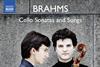 Brahms-Schwalbe
