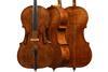 Hybrid cello