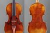1784 Guadagnini violin