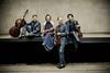 Signum-Quartet-Press-pic-1-June-2016-0B1A0248.30a