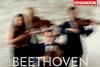 Beethoven Doric Qt