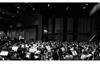 Strad article images  (6)