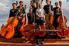 South African Youth Orchestra double bass section