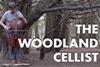 The Woodland Cellist