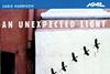 An-expected-light