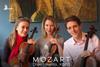 Mozart Fokkens