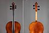 1729 Guarneri 'filius Andreae' cello