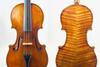 1720 Guarneri filius Andreae violin