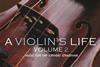 violins-life