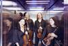Motus Quartett_Copyricht_Sofija Wagner