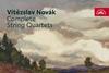 Novak Stamic Qt