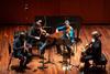 MOTS-Mozart-Nora Pitaro