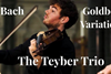 Teyber Trio