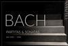Bach Cicic