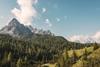 Forests Dolomites