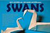 Swans