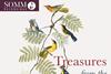 Treasures from the New World