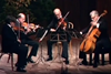 Amadeus quartet