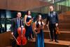 Apollo Chamber Players - 2023 - Photographer Lynn Lane - WEB-18 4