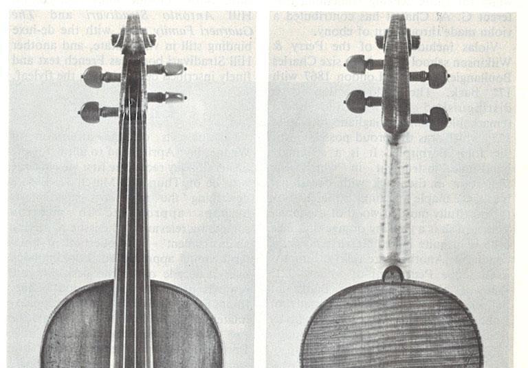 イヤーウィグ earwig パスト past From the Archive: a Stradivarius violin from the 1695 period