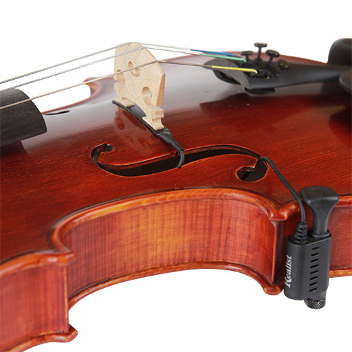 Forfærde krave Lily Pickup or microphone? Choosing what's right for your bowed string  instrument | Focus | The Strad