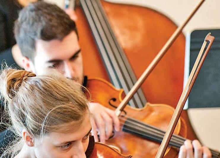 Degrees Find your viola teacher Focus The Strad