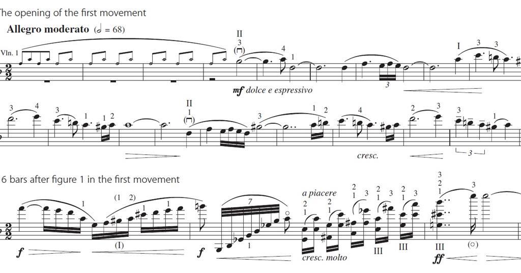 sibelius 5 finale bass bowing