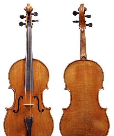 31375_contevitaleviola_474824.jpg