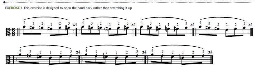 The Strad - Technique: Moving from violin to viola | The Strad