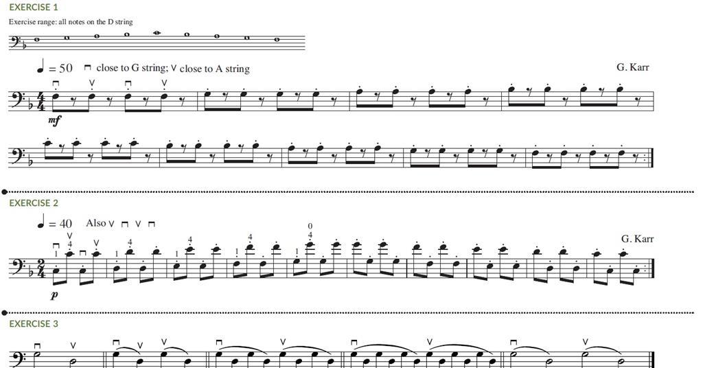 Double bass technique Back muscles, weight, and flexibility in the right hand Focus The Strad