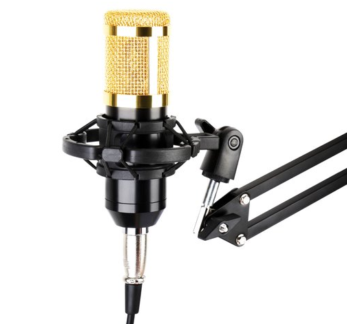 Shrad Mic Products July 2021: Microphone | Premium Article | The Strad