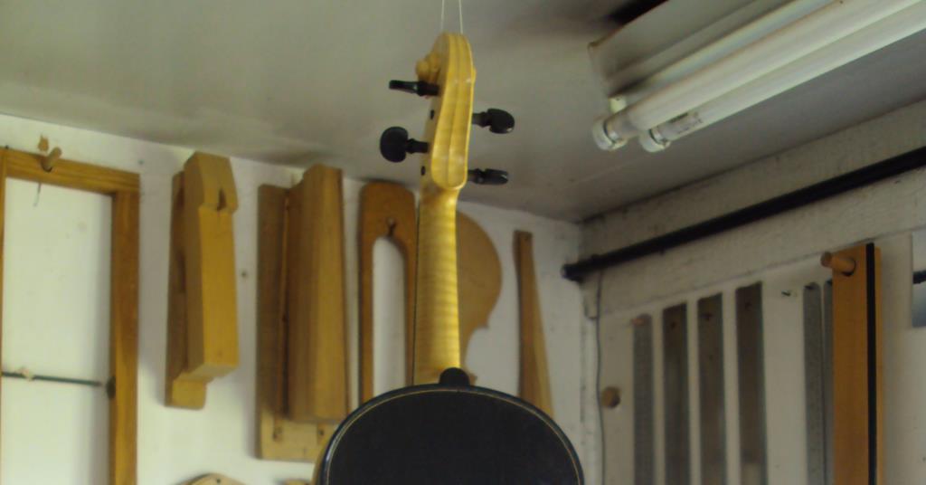 The world’s first and only Bog Oak violin (as far as we know) | Blogs ...