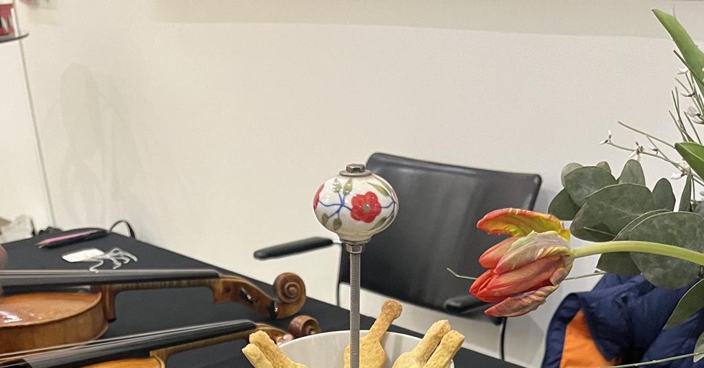 The Strad - BVMA Makers’ Day 2025: a meeting of minds | The Strad