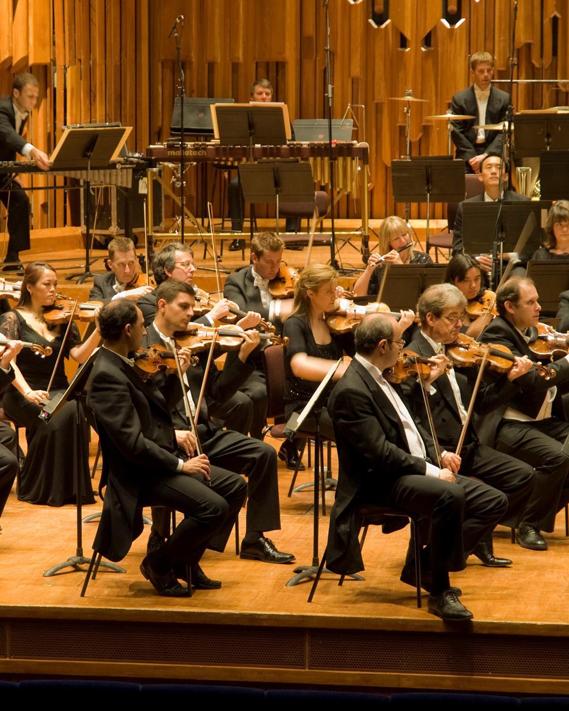 How to be successful in an orchestral audition Blogs The Strad