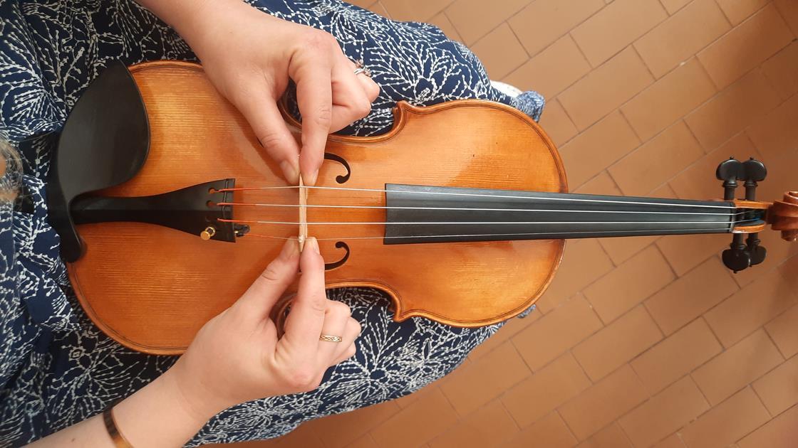 The Strad - Looking after your instrument: the secret to bridge ...