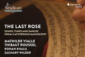 The Last Rose