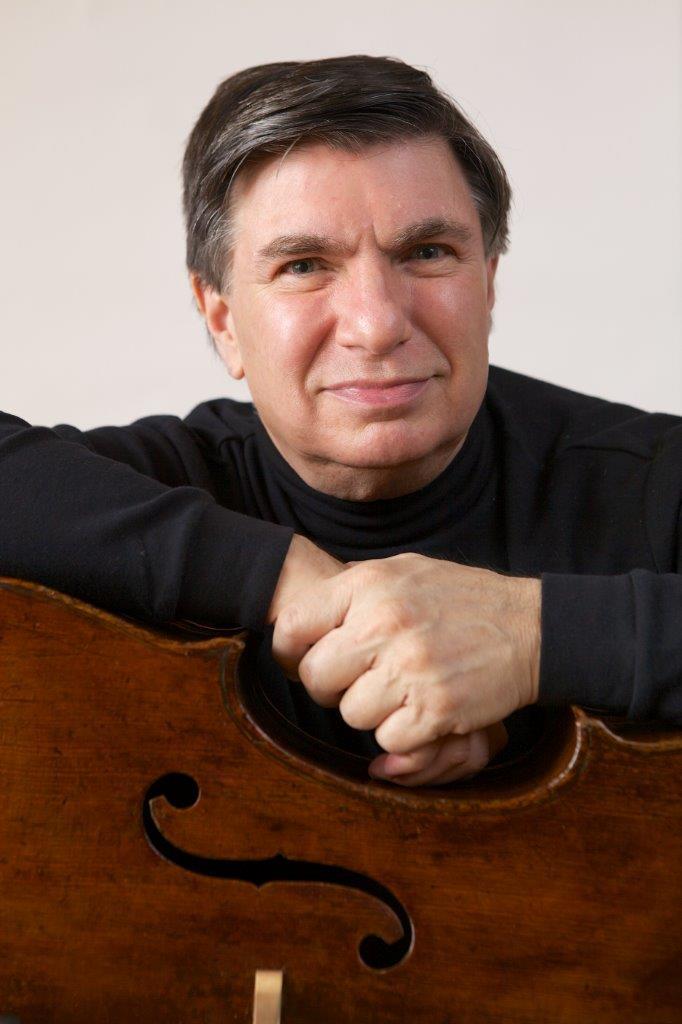 Professional string players reveal their favourite accessory Focus