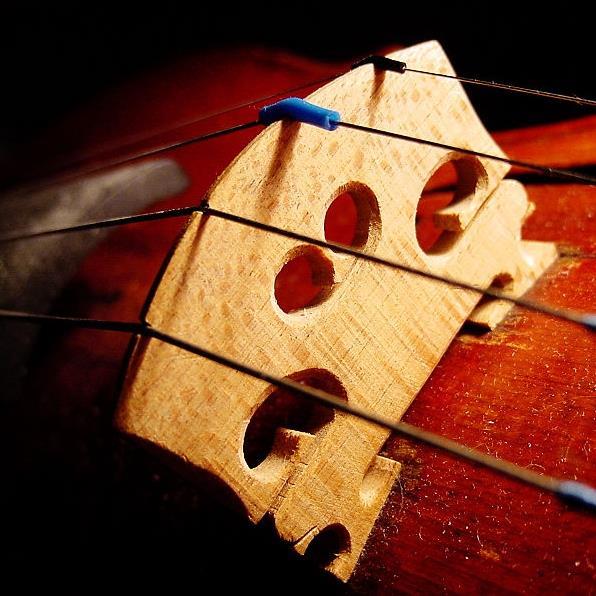 9 tips on working with violin bridges Focus The Strad