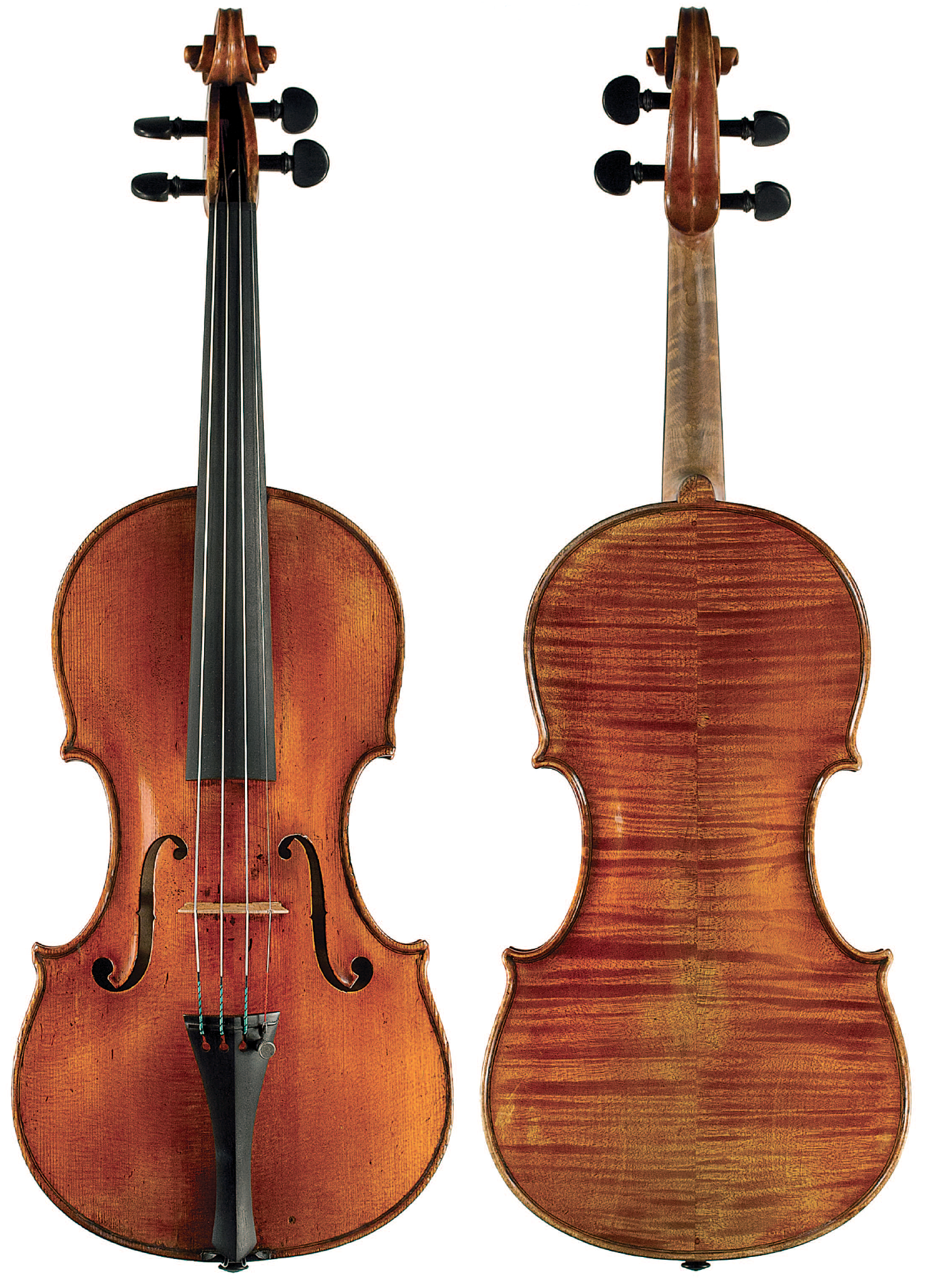 In focus a 1895 violin by Eugenio Degani Focus The Strad