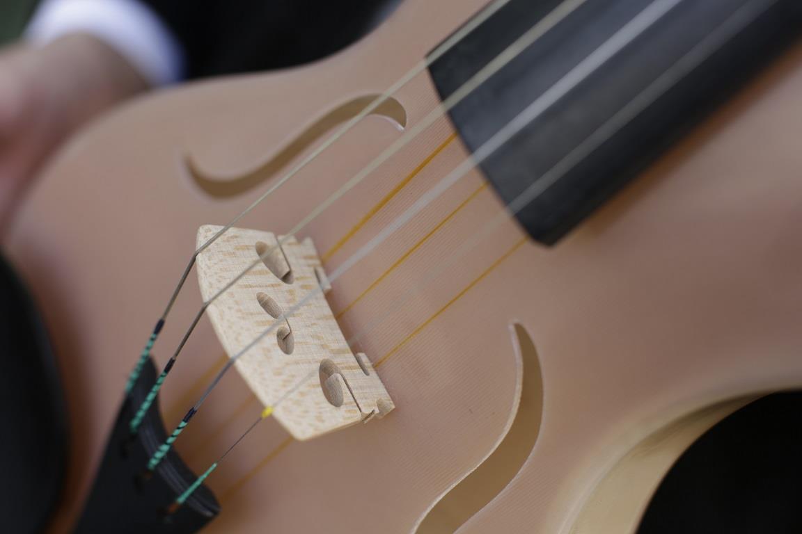 New prototype violin made with spiders’ silk News The Strad