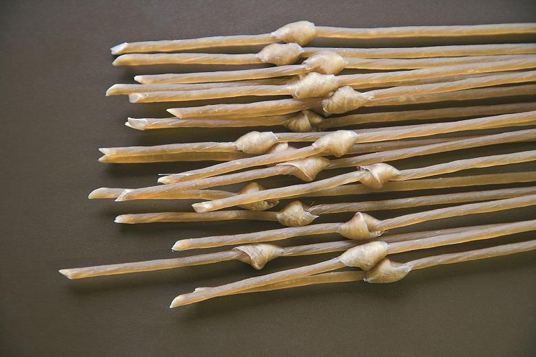 9 thoughts about playing on gut strings Focus The Strad