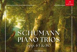 Schumann Ilona Trio (1)