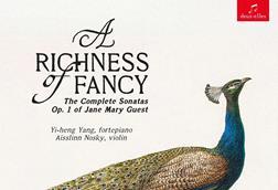 A Richness of Fancy