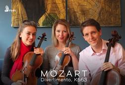Mozart Fokkens