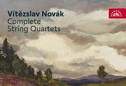 Novak Stamic Qt