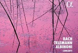 Albinoni Gent