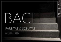 Bach Cicic