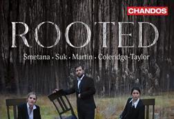 Rooted Neave Trio